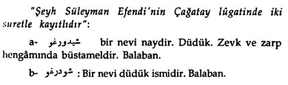 b.13.2.jpg